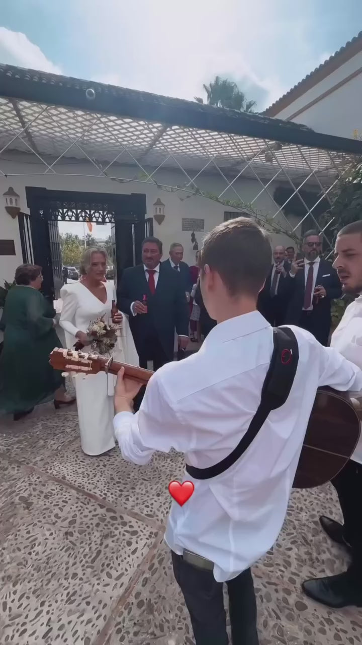 Cargar video: 